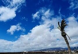 Canarias vivirá unos próximos días de calma antes de una borrasca según avanza la Aemet