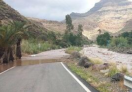 Gran Canaria eleva la emergencia a nivel 1 por Therese