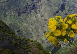 La borrasca Therese pierde fuerza pero mantiene la inestabilidad en Canarias