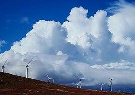 La mayor lluvia acumulada en Canarias durante Therese, en Corral de Los Juncos