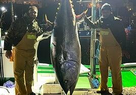 Los primos León y Manuel Avero pescan el primer atún rojo de toda Canarias: 333 kilos