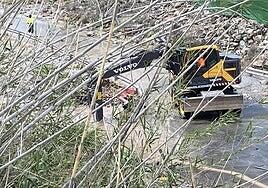 Parte de la restauración ambiental de Redeia en el barranco de Arguineguín se fue al mar