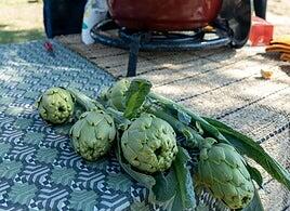 La huerta navarra da la bienvenida a la primavera