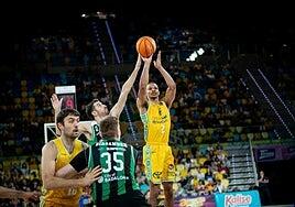 Asisa Joventut-Dreamland Gran Canaria: el Olímpico como lanzadera para volver a ganar y poder creer