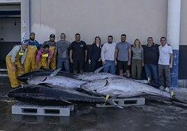 La primera descarga de atún rojo en Gran Canaria: cinco ejemplares y casi 1.300 kilos