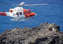 El charrán común contará con una nueva zona adaptada en el Farallón de Sardina