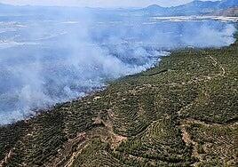Controlado el incendio en Sierra Espuña, Murcia, que deja 436 hectáreas afectadas