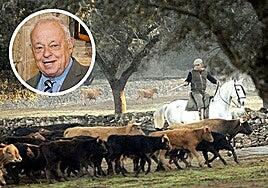 El Gobierno de Castilla y León marca perfil taurino y plantea que la doma vaquera sea bien cultural