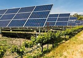 Cultivar lechugas y energía en la misma tierra será posible en Canarias