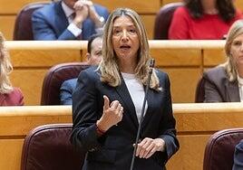 Decimotercer choque ante el Constitucional del Senado contra el Gobierno