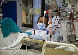 Sanidad pone en marcha el nuevo cribado para detectar la insuficiencia renal