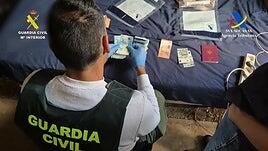 Así fue el desmantelamiento de la finca de Tenerife dedicada al cultivo y distribución de marihuana