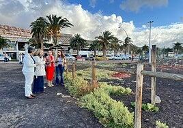 El Saladar de Jandía recuperará más de 9.000 metros cuadrados de superficie degradada