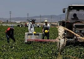 El Gobierno tramitará la regularización «lo antes posible» tras el aval del Consejo de Estado