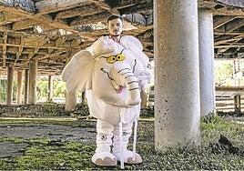 Un elefante se cuela en el Senado de Colombia