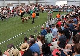 Ir a Feaga 2026 sin colas de tráfico