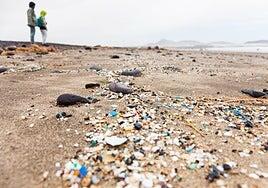 Canarias pone en marcha un sistema pionero para vigilar la basura marina en 30 playas del archipiélago