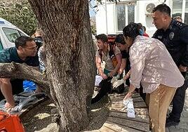 Al menos 9 muertos y 13 heridos en otro tiroteo en un colegio de Turquía