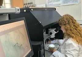 Microplásticos a más de 1.000 metros: el hallazgo en Canarias que revela cómo el océano los esconde en toda la columna de agua