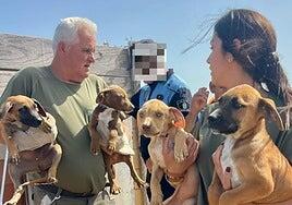 Rescate de seis cachorros, que ahora buscan nuevo dueño