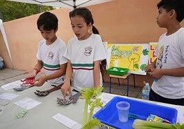 Experimentar en el aula gana vocaciones