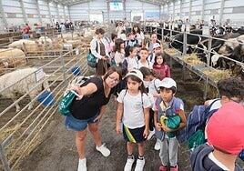 Feaga es un recreo entre burros, cabras, ovejas y bueyes