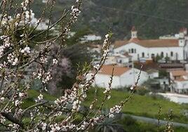El almendro hermana a Tejeda con Castro Marim (Portugal) y Alleins (Francia)
