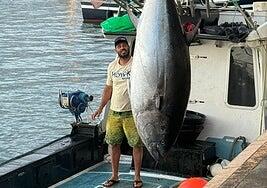 Cuatro horas para rendir a un atún rojo de récord, de 381,5 kilos