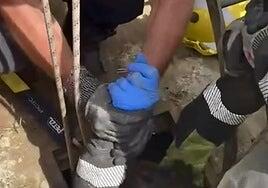 Rescatan con vida a un niño de 3 años que había caído a un pozo de 15 metros de profundidad en Toledo