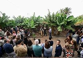 Casa Quintanilla y PlataneraLab miran al futuro con la platanera como protagonista