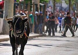 Muere el ganadero Santiago Barrero corneado por un toro en Jaén