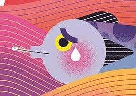 Los océanos del mundo y el clima