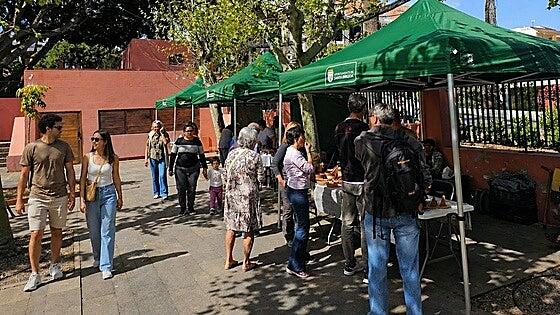 La Feria de Artesanía de Santa Brígida regresa este sábado