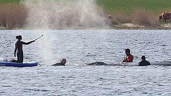 Una barcaza traslada a la ballena Timmy hacia el Báltico