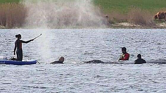 Una barcaza traslada a la ballena Timmy hacia el Báltico