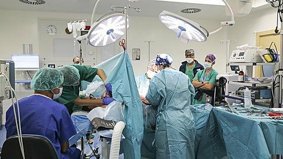 Piden que se garantice el derecho de las mujeres a estar acompañadas en partos por cesárea
