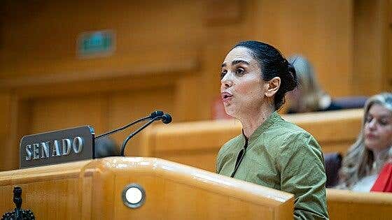 El PP se abstiene en una moción de Vox en el Senado para ilegalizar a Bildu