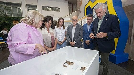 Confirmado: la población prehispánica segaba los cereales con lascas de basalto
