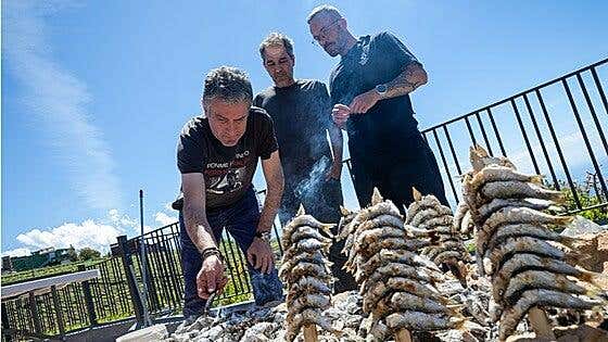 ¿Por qué hemos dejado de comer sardinas?