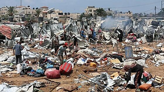 Las ratas invaden Gaza: «Los niños se despiertan con los dedos y la nariz mordidos»