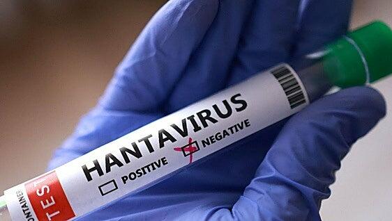 Las dos mujeres aisladas por contacto de hantavirus en Alicante y Barcelona dan negativo en las pruebas