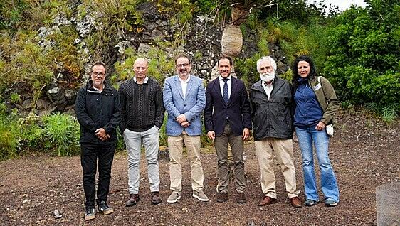 Creado el grupo de trabajo del plan de recuperación del drago de Gran Canaria