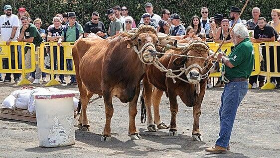 Quienes sostienen viva el alma rural de esta isla