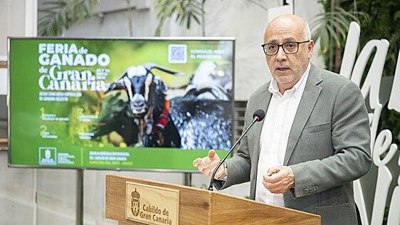 Gran Canaria celebra el fin de semana la tercera feria de ganado con más cabezas de España