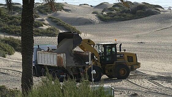 El Cabildo pide permiso a Costas para mover 14.400 metros cúbicos de arena de las dunas de Maspalomas a la orilla de Playa del Inglés