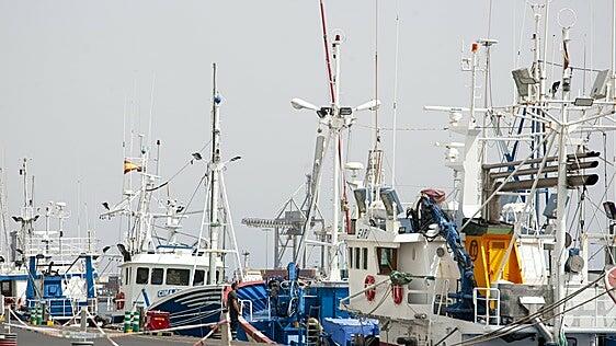 La pesca fue a menos en 2025; sumando 5,4 millones de euros