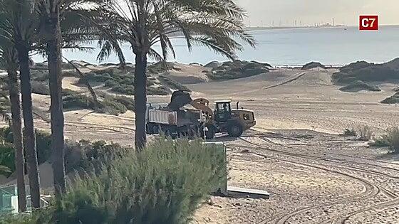 Último trasvase de arena del Ayuntamiento en las dunas de Maspalomas