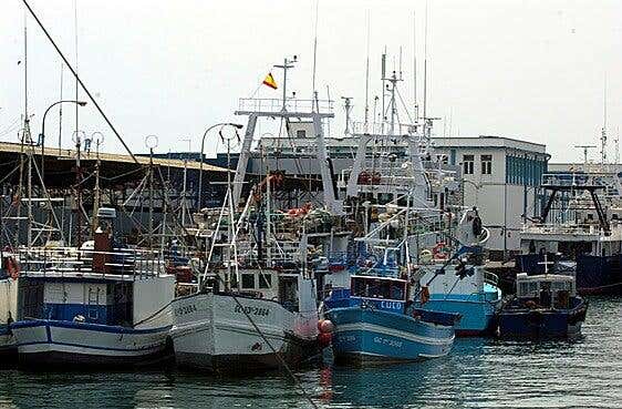 Interacción eólica-pesca Europa, Canarias