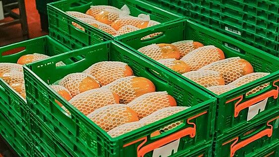 Mercadona supera los 810 millones en compras a proveedores canarios y crea 300 empleos en un año