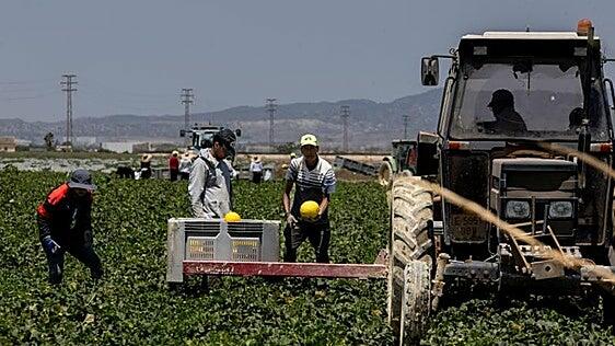 La regularización de inmigrantes apenas tendrá impacto en la economía española